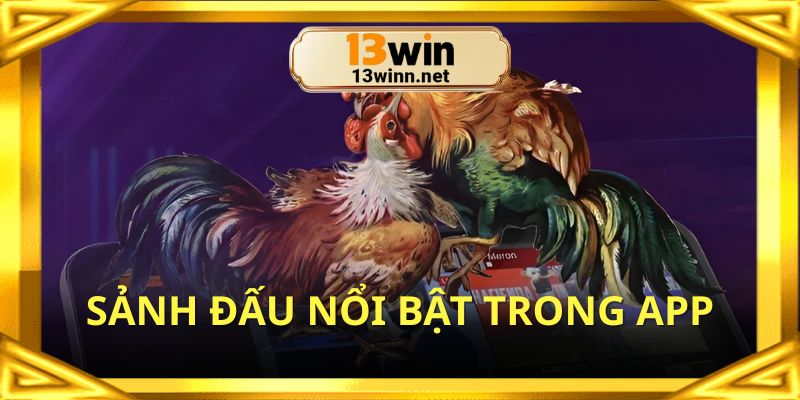 Điểm danh các nhà cung cấp chất lượng trong ứng dụng