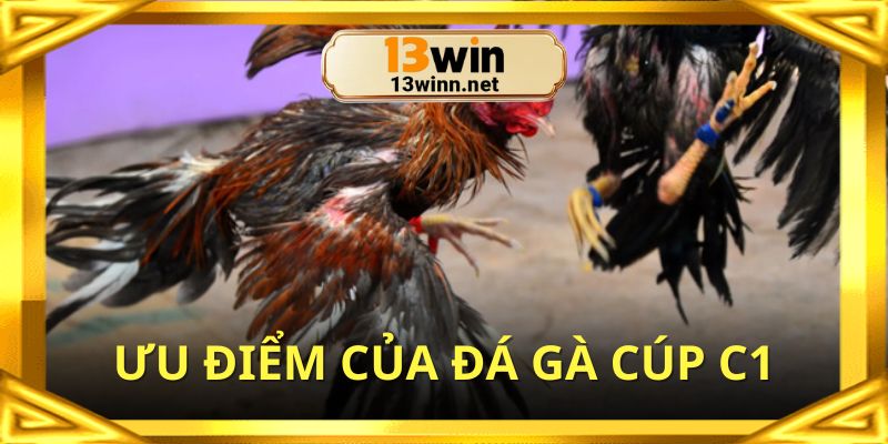 Điểm mạnh khiến hội viên tham gia Đá gà cúp C1 trực tuyến