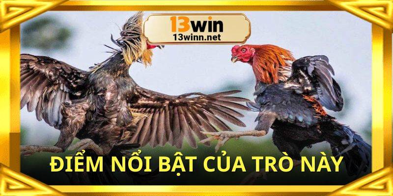 Điểm nổi bật của đá gà mỹ trực tiếp 13win