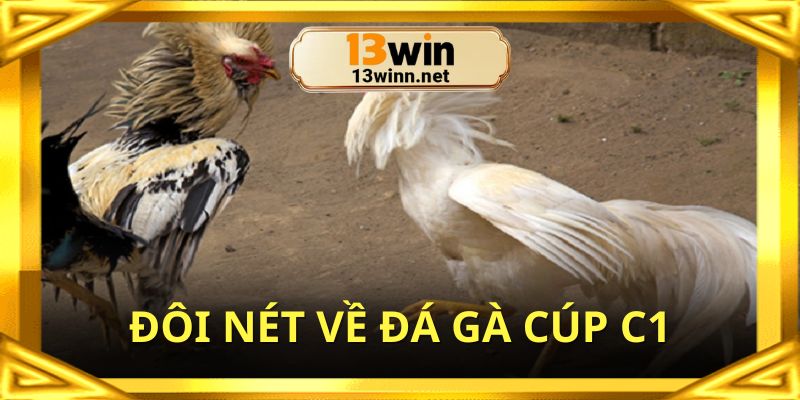 Đá gà cúp C1 giải đấu đẳng cấp nhất Đông Nam Á cho bạn