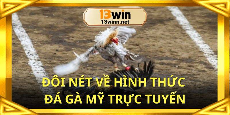 Đôi nét về hình thức đá gà mỹ trực tuyến