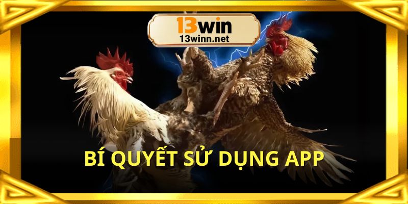 Gợi ý cách sử dụng app đá gà trực tiếp thật thông minh