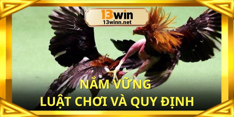 Nắm vững luật chơi cùng quy định để dễ dàng chiến thắng