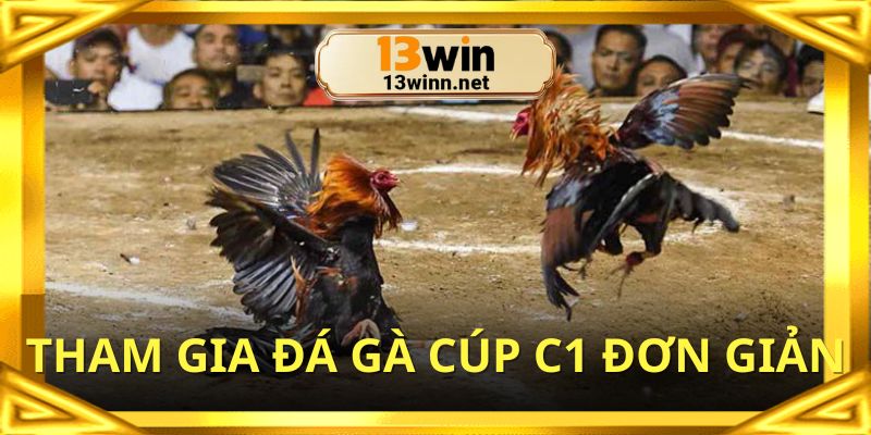 Tham gia đá gà trực tuyến với trình tự đơn giản nhất