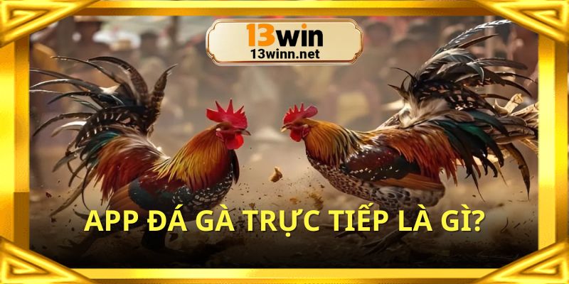 Tìm hiểu chung về app đá gà trực tiếp đang hot tại nhà cái