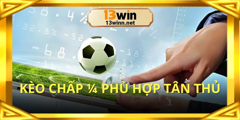 Tỷ lệ kèo Ma Cao ¼ thích hợp cho tân thủ