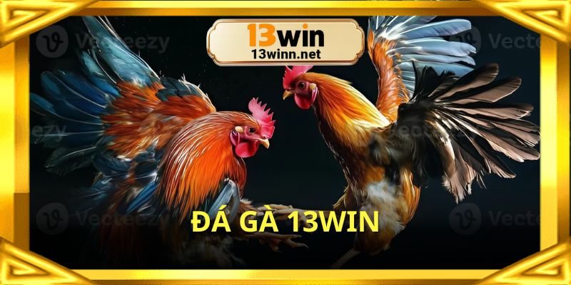 Đá gà 13win - Cổng game đổi thưởng giải trí hàng đầu 2025
