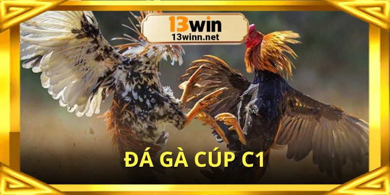 da-ga-cup-c1-anh-dai-dien