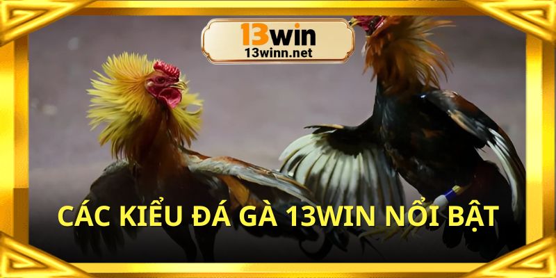 Danh mục các dạng đá gà được ưa chuộng nhất trên nền tảng