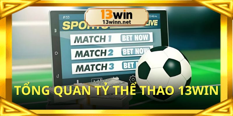 Một danh mục giải trí hot tại nền tảng trực tuyến