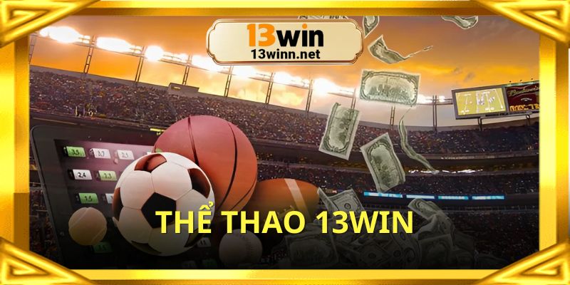 Thể thao 13win là 1 nền tảng cược online an toàn với tốc độ cao