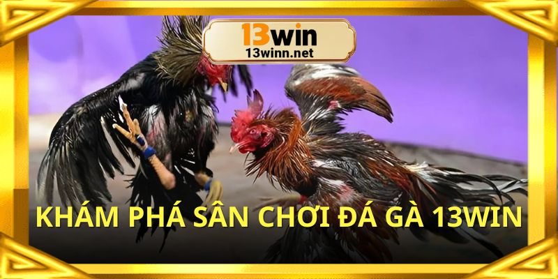 Tìm hiểu thế giới đá gà 13WIN đầy sức hút
